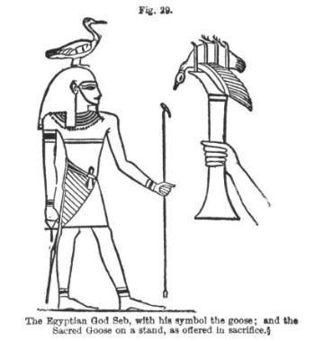 Figure 29