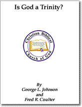 Booklet Cover: is God a Trinity?
