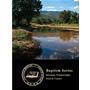The Baptism Series Booklet